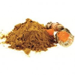 CURCUMA POUDRE 500G POT PET