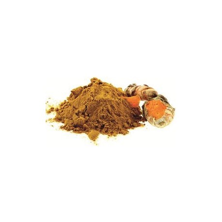 CURCUMA POUDRE 500G POT PET