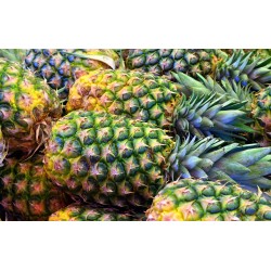FL ANANAS PIECE