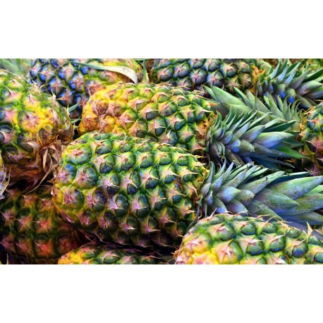 FL ANANAS PIECE
