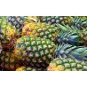 FL ANANAS PIECE