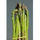 FL ASPERGE BOTTE 250G ESP