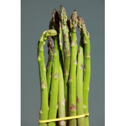 FL ASPERGE BOTTE 250G ESP