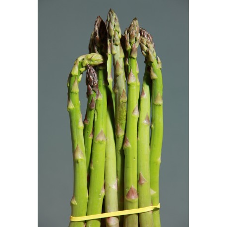 FL ASPERGE BOTTE 250G ESP