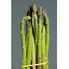 FL ASPERGE BOTTE 250G ESP