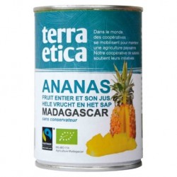 ANANAS FRUIT ENTIER ET SON JUS 410G