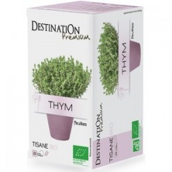 TISANE THYM 20 INFUSETTES