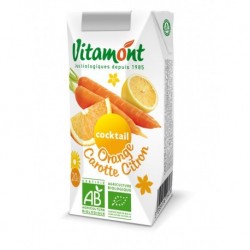 JUS COCKTAIL ORANGE CAROTTE CITRON 20CL BRIQ.