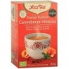 YOGI TEA ENERGIE POSITIVE 17 SACHETS