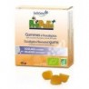 A.GOMMES PROPOLIS EUCALYPTUS 45G