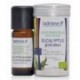 HUILE ESSENTIELLE EUCALYPTUS GLOBULUS 10ML*