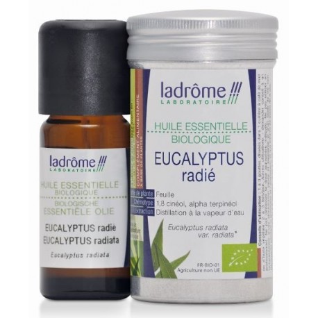 HUILE ESSENTIELLE EUCALYPTUS RADIATA 10ML*