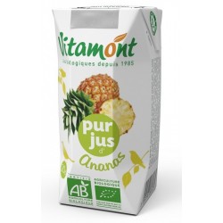 JUS ANANAS 20CL BRIQ.