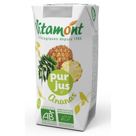 JUS ANANAS 20CL BRIQ.